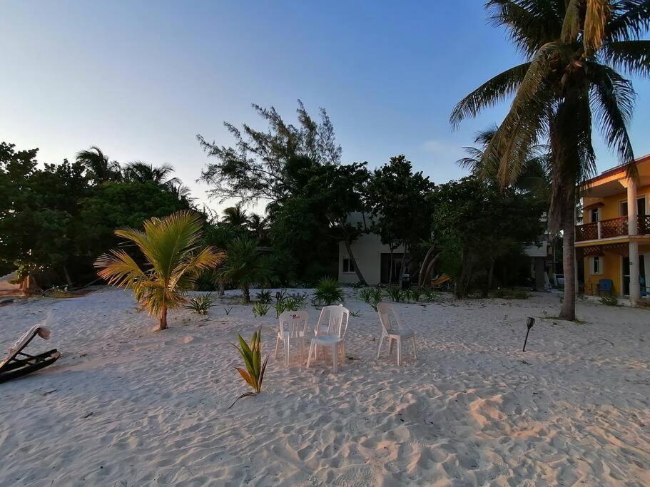 Marysol Great Views Beachfront Next To Nomads D3 Isla Mujeres Exterior photo