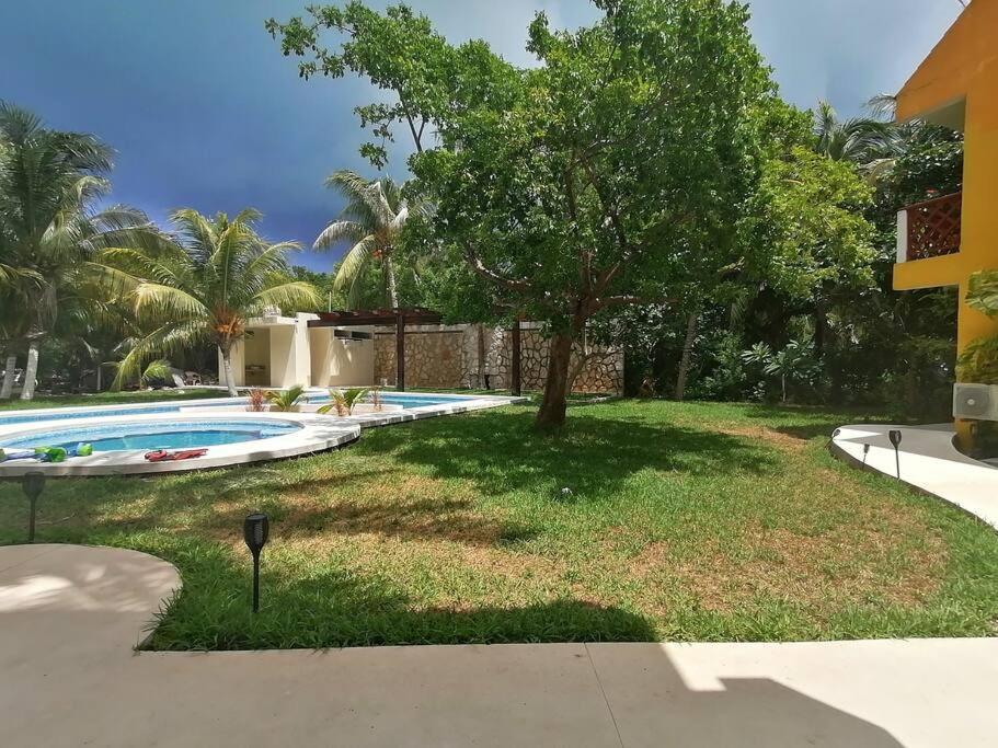 Marysol Great Views Beachfront Next To Nomads D3 Isla Mujeres Exterior photo
