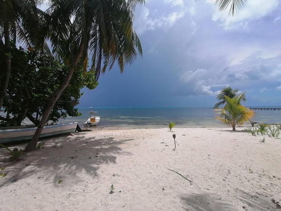 Marysol Great Views Beachfront Next To Nomads D3 Isla Mujeres Exterior photo