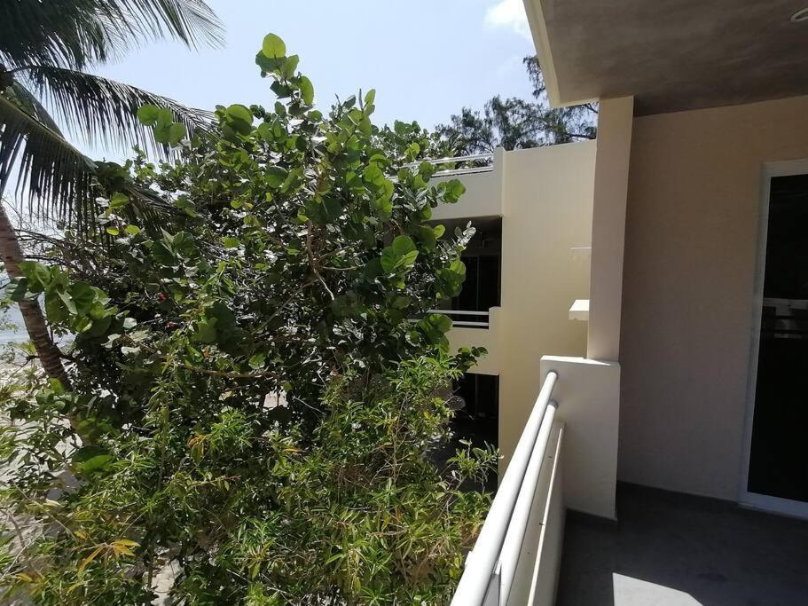 Marysol Great Views Beachfront Next To Nomads D3 Isla Mujeres Exterior photo