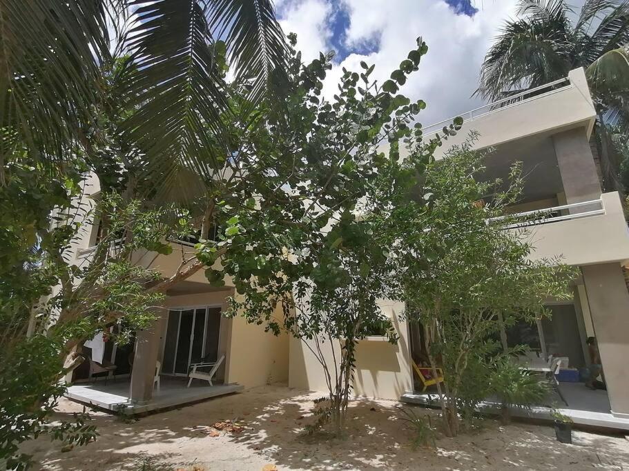 Marysol Great Views Beachfront Next To Nomads D3 Isla Mujeres Exterior photo