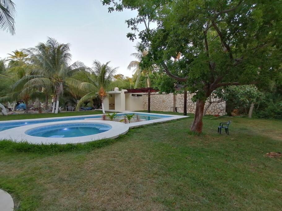 Marysol Great Views Beachfront Next To Nomads D3 Isla Mujeres Exterior photo