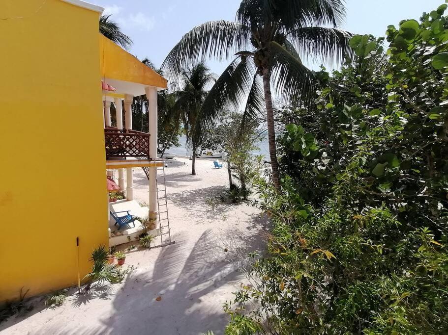 Marysol Great Views Beachfront Next To Nomads D3 Isla Mujeres Exterior photo
