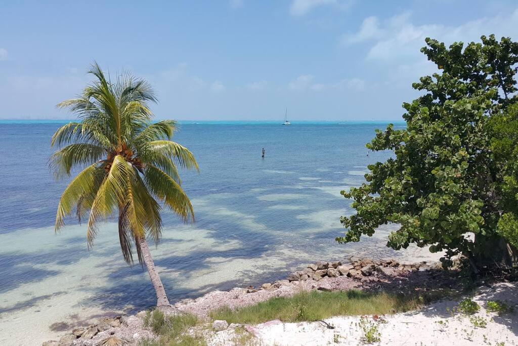 Marysol Great Views Beachfront Next To Nomads D3 Isla Mujeres Exterior photo
