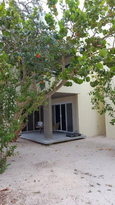 Marysol Great Views Beachfront Next To Nomads D3 Isla Mujeres Exterior photo